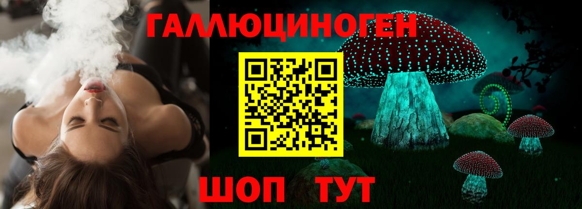 Галлюциногенные грибы Magic Shrooms  Вход с VPN  Старая Русса  Галлюциногенные грибы Psilocybine cubensis 